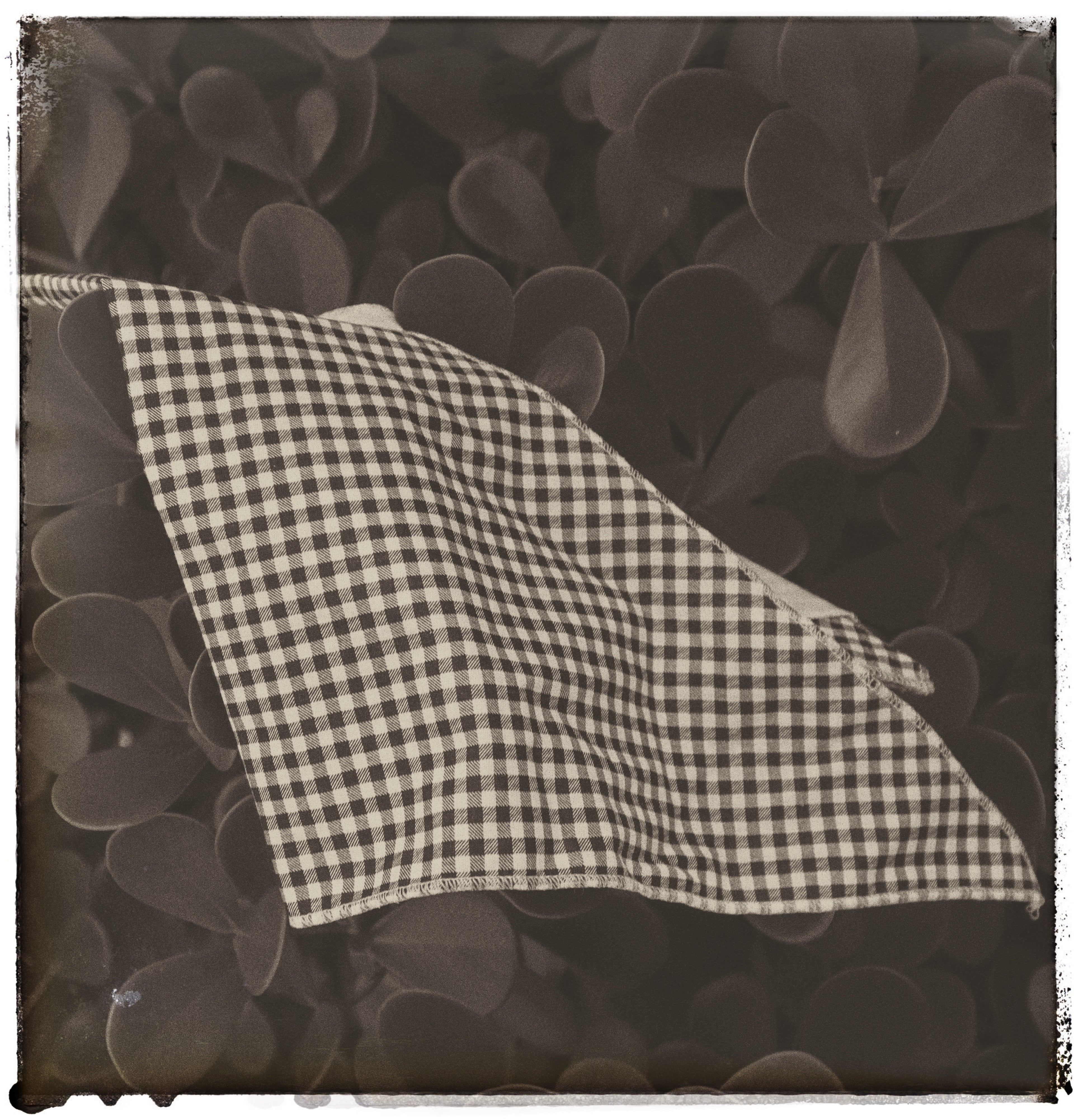 lenço/bandana xadrez